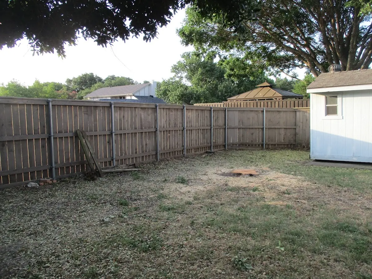 Cleared yard after professional tree removal in Richwood